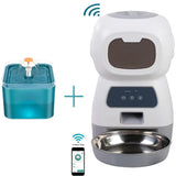 Automatic Dogs Cats Feeder