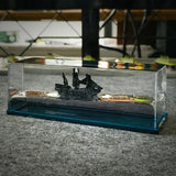 Black Pearl Ghost Ship Cruise
