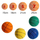 Bouncing Mute Ball Indoor Silent Basketball 24cm.
